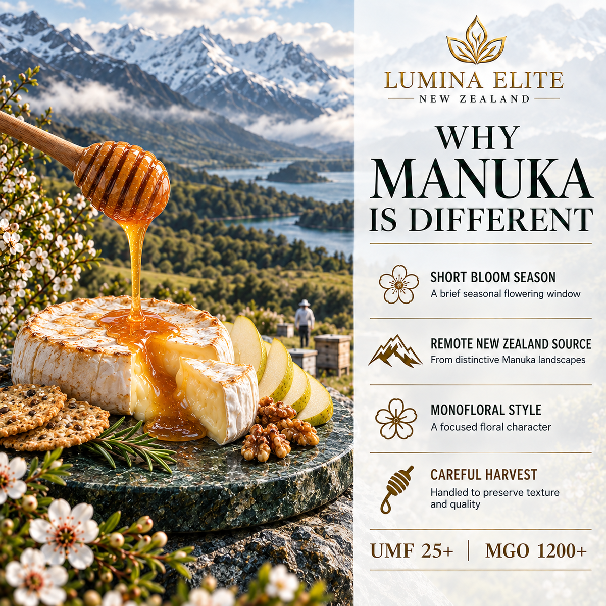 Manuka honey served with Brie, pear and walnuts in a New Zealand landscape