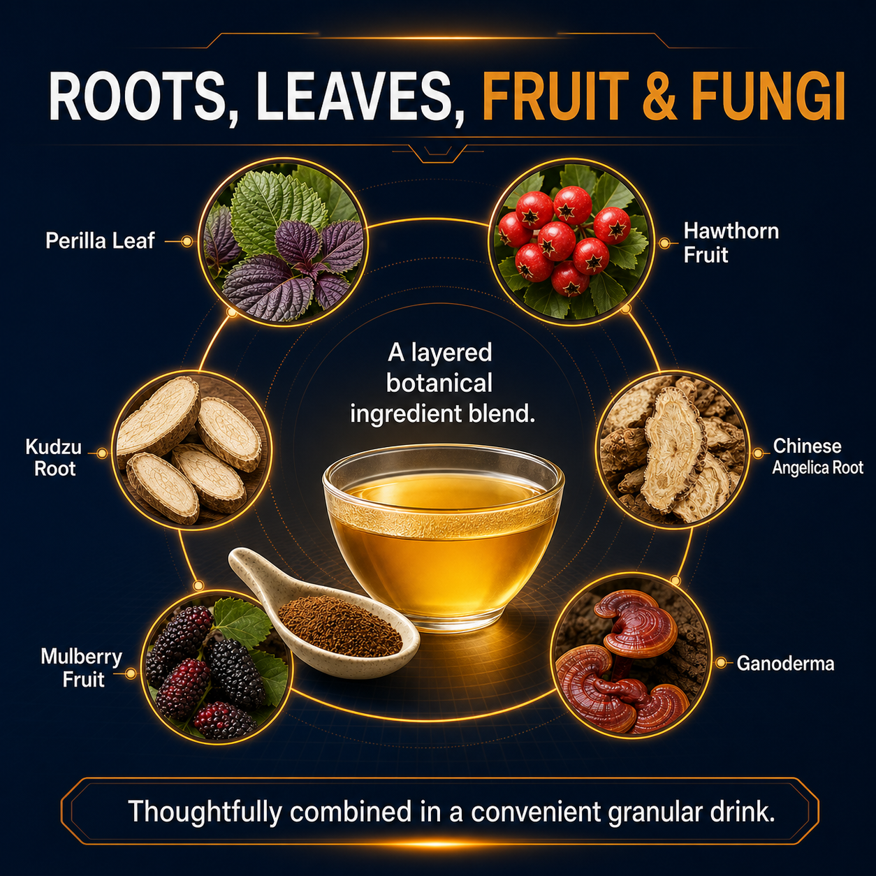Daily Herbal Support for Heart & Circulation-YH