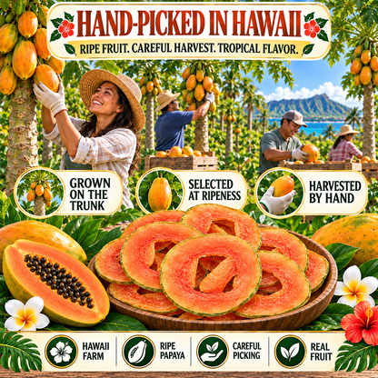 Premium Dried Papaya Slices – Natural Tropical Fruit Snack With Dietary Fiber & Antioxidant Nutrition -$AC
