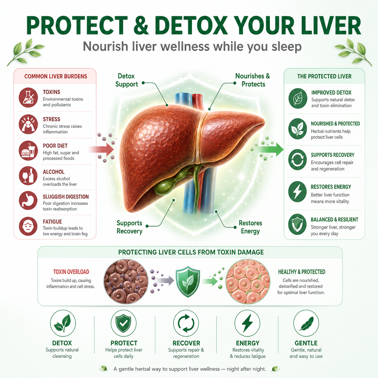 🌙 Liver Support Patch — Detox Your Liver While You Sleep-Zuckerberg