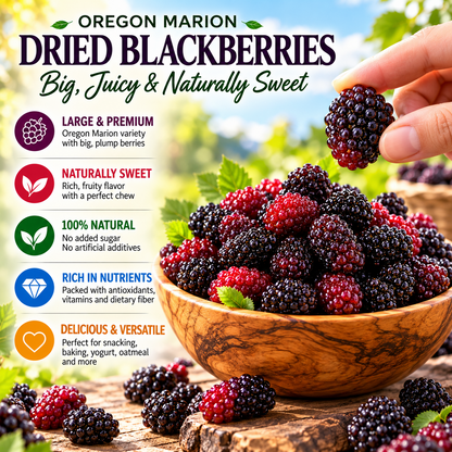 Premium Oregon Marion Dried Blackberries – Large, Plump, Naturally Sweet & Bursting with Berry Flavor -$AC