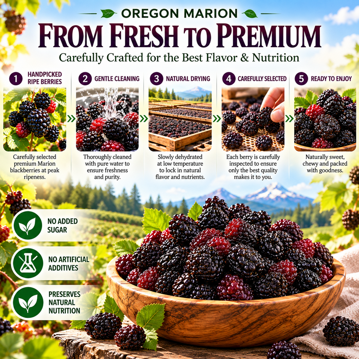 Premium Oregon Marion Dried Blackberries – Large, Plump, Naturally Sweet & Bursting with Berry Flavor -$AC