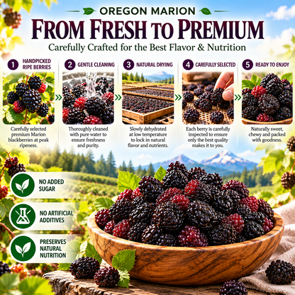 Premium Oregon Marion Dried Blackberries – Large, Plump, Naturally Sweet & Bursting with Berry Flavor -$AC
